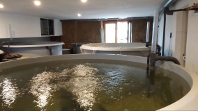 Normandy Aquaponics Tour & Workshops Experience