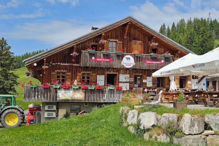 Rhône-Alpes Cheese Farm Tour Experience