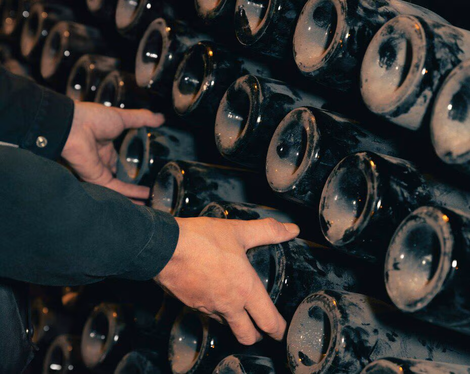 Champagne Brut Tasting Experience