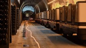 Champagne Guided Tour Experience