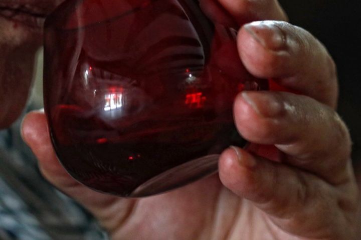 Aragon Matarranya Olive Oil Tasting Experience