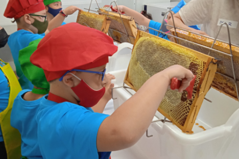 Extremadura Beekeeping Experience