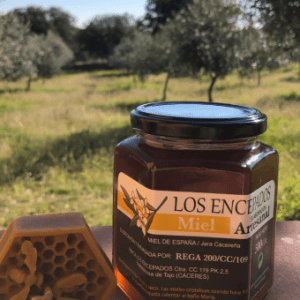 Extremadura Beekeeping Experience