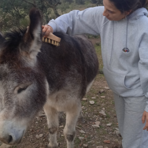 Extremadura A Day On The Farm Experience