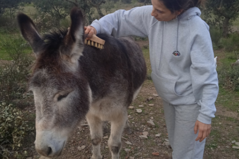 Extremadura A Day On The Farm Experience