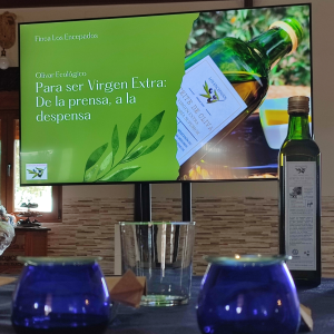 Extremadura Paths of the Olive Tree Experience