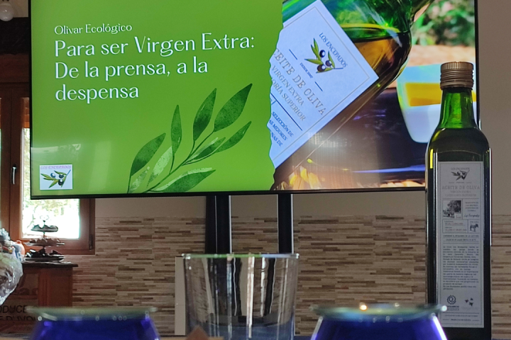 Extremadura Paths of the Olive Tree Experience