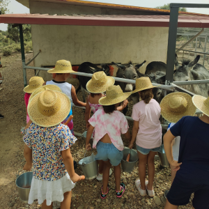 Extremadura A Day On The Farm Experience