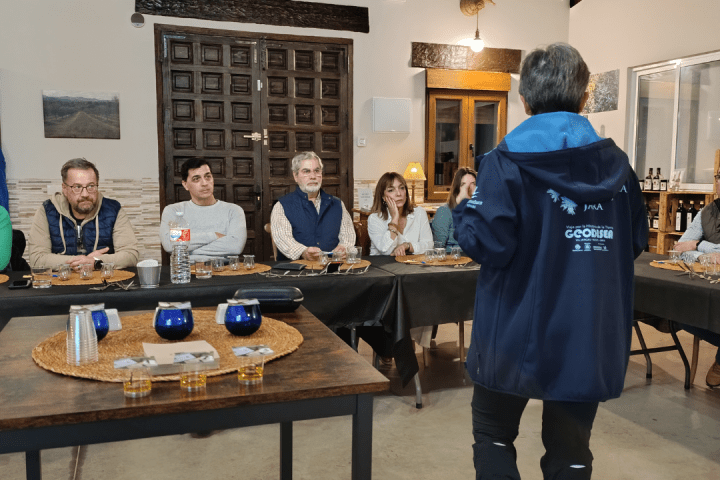 Extremadura Paths of the Olive Tree Experience