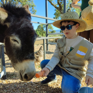 Extremadura A Day On The Farm Experience