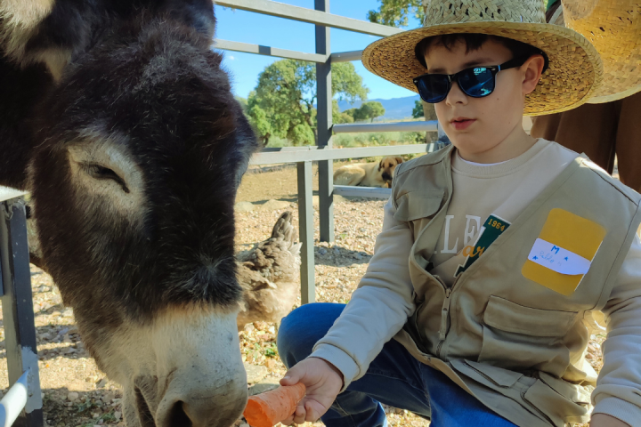 Extremadura A Day On The Farm Experience