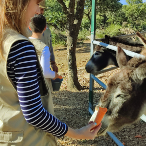 Extremadura A Day On The Farm Experience