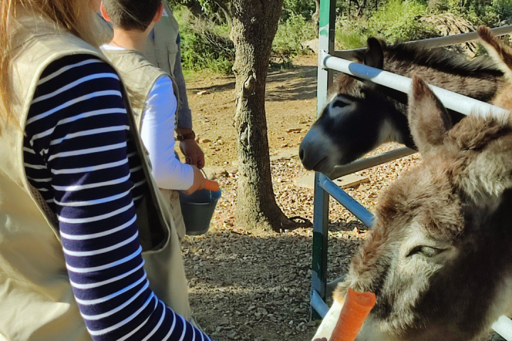 Extremadura A Day On The Farm Experience