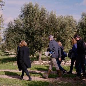 Mallorca Visit & Tasting Experience