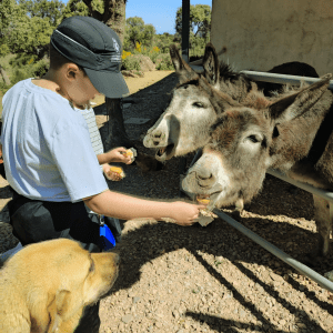 Extremadura A Day On The Farm Experience