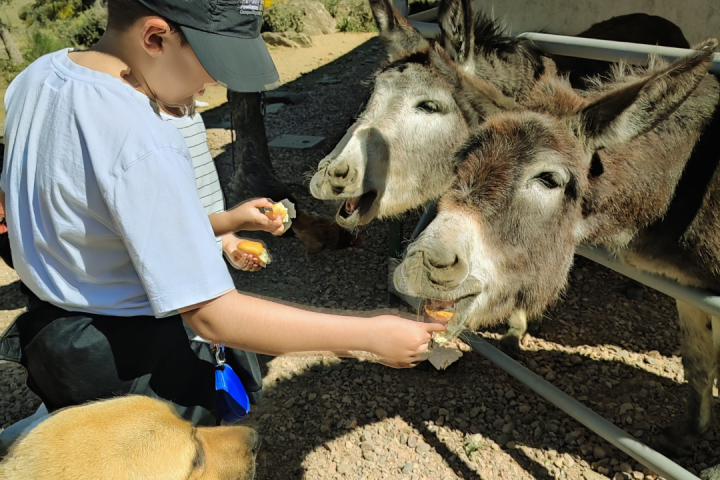 Extremadura A Day On The Farm Experience