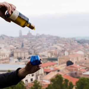 Aragon Matarranya Olive Oil Tasting Experience