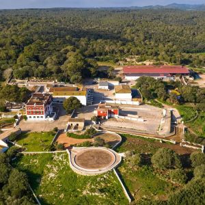 Menorca Farm Tour with Equestrian Experience