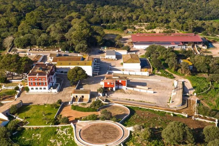 Menorca Farm Tour with Equestrian Experience