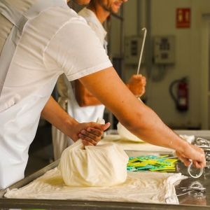 Menorca Farm Tour with Equestrian Experience