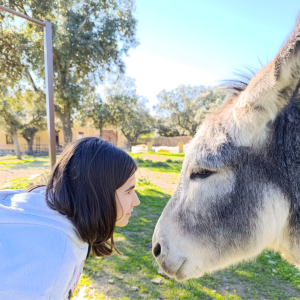 Extremadura A Day On The Farm Experience