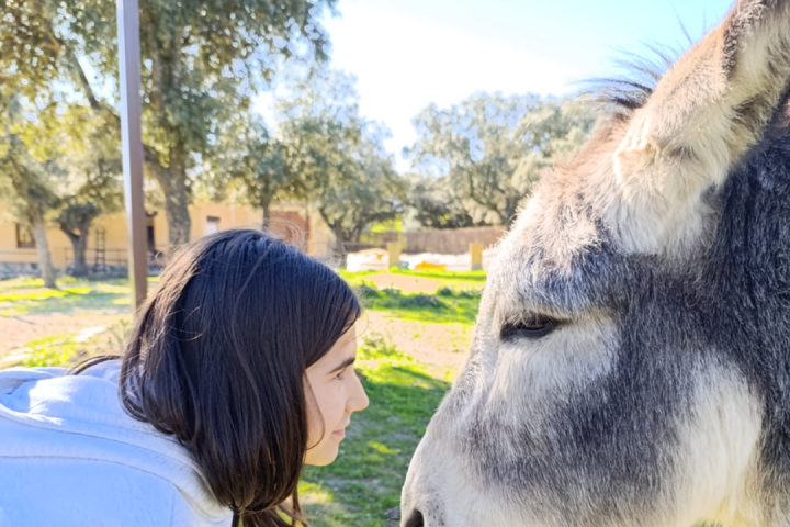 Extremadura A Day On The Farm Experience