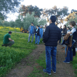 Extremadura Paths of the Olive Tree Experience