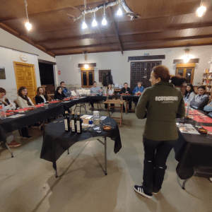 Extremadura Paths of the Olive Tree Experience