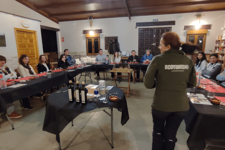 Extremadura Paths of the Olive Tree Experience