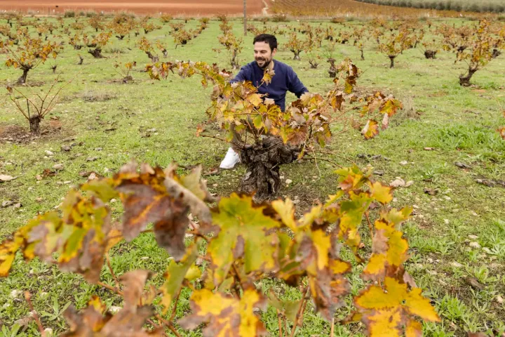 Malaga Organic Wine Tour Experience