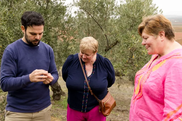 Malaga Organic Wine Tour Experience