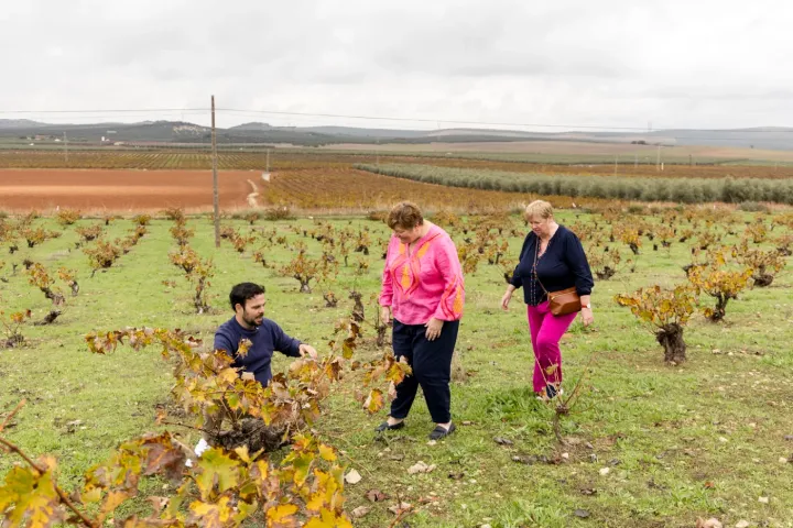 Malaga Organic Wine Tour Experience