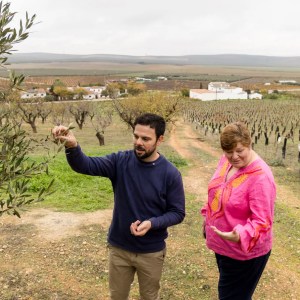 Malaga Organic Wine Tour Experience