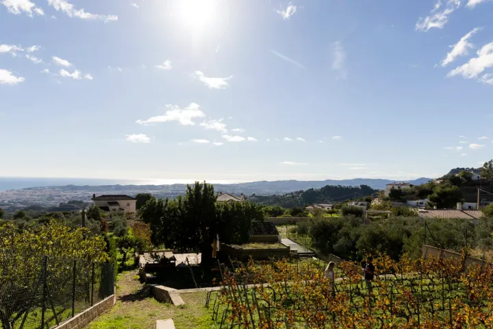 Malaga Organic Wine Tour Experience