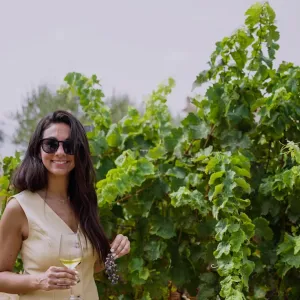 Malaga Organic Wine Tour Experience