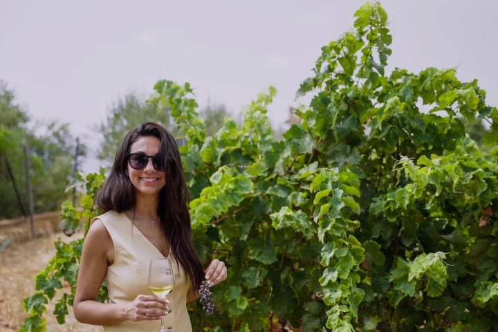 Malaga Organic Wine Tour Experience