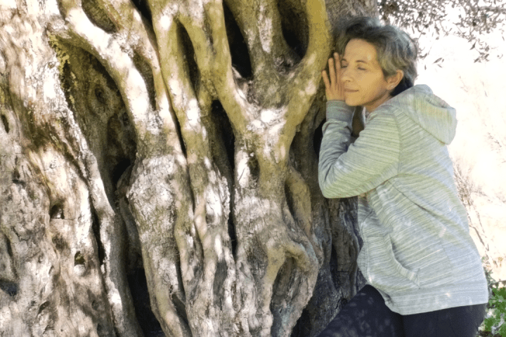 Extremadura Paths of the Olive Tree Experience