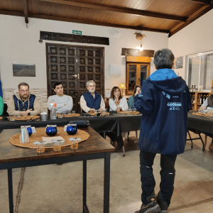 Extremadura Paths of the Olive Tree Experience