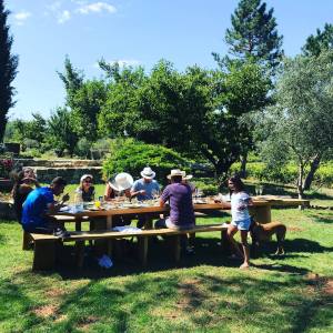 Provence Cooking & Dining Like Locals Experience