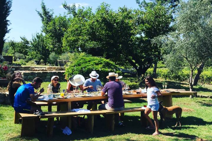 Provence Cooking & Dining Like Locals Experience