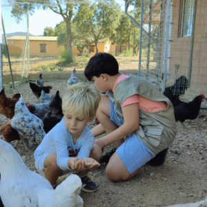 Extremadura A Day On The Farm Experience