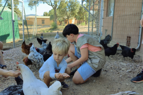 Extremadura A Day On The Farm Experience