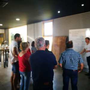 Ciudad Real Olive Oil Tour & Tasting Experience