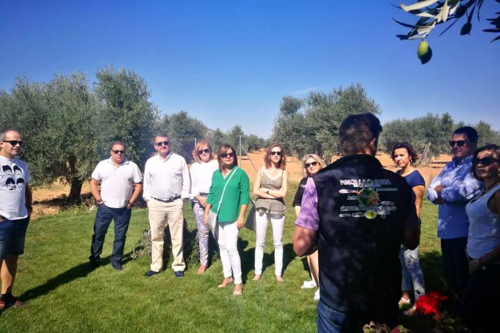Ciudad Real Olive Oil Tour & Tasting Experience
