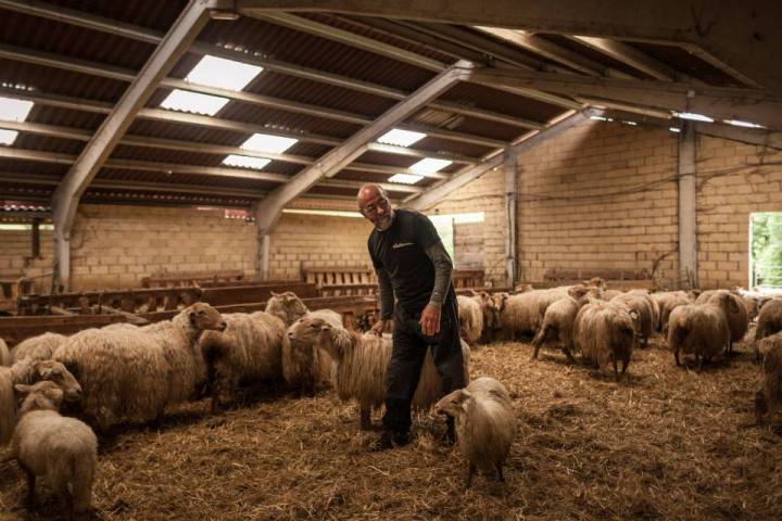 Basque Shepherd For a Day Experience