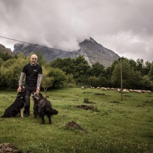 Basque Shepherd For a Day Experience