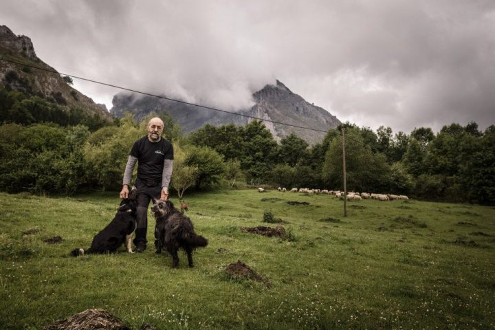 Basque Shepherd For a Day Experience