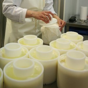 Basque Shepherd For a Day Experience