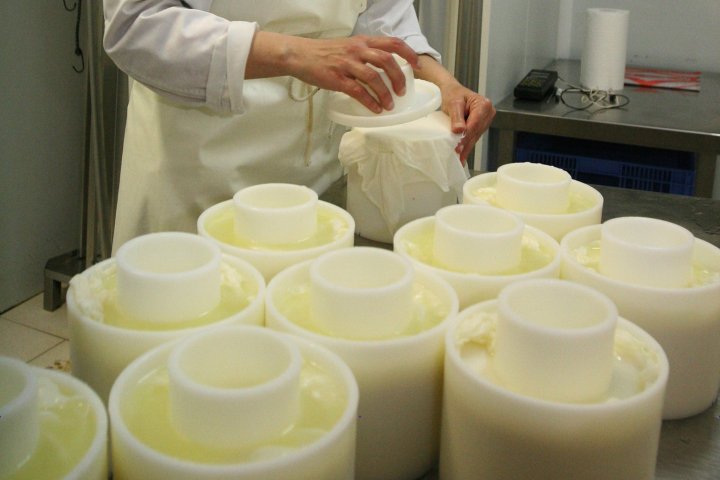 Basque Shepherd For a Day Experience