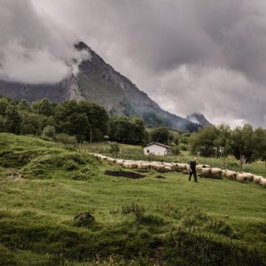 Basque Shepherd For a Day Experience